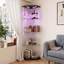 Display Cabinet-1108497540