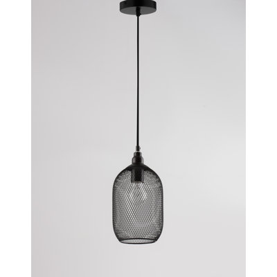 Fuchs 1 - Light Black Jar Pendant