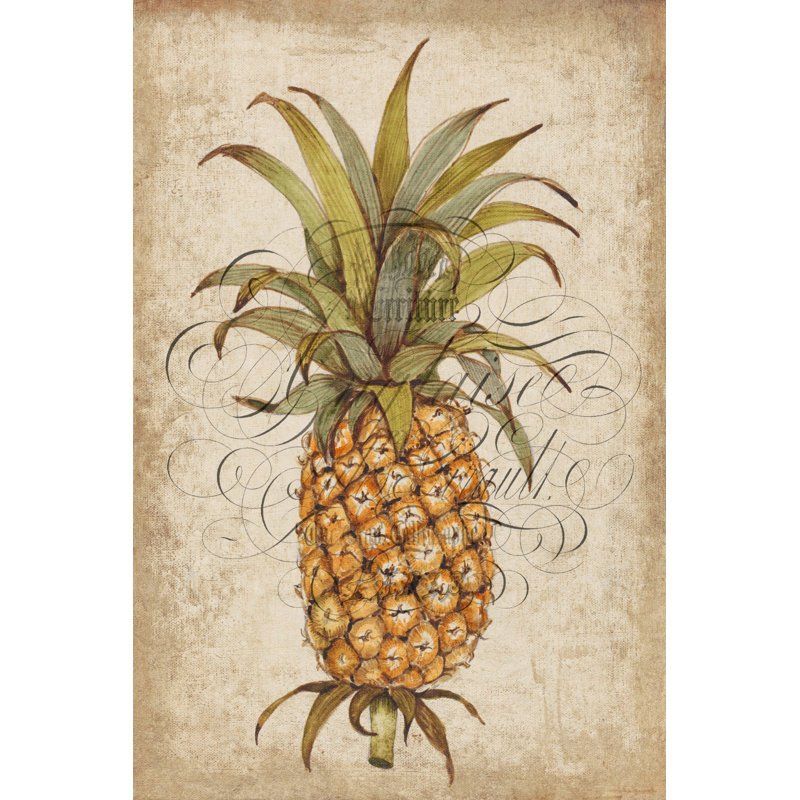 "Pineapple Study II" Print on Wrapped Canvas, 36" H x 24" W