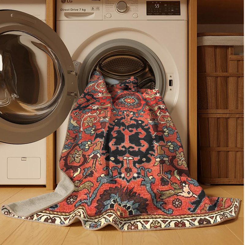 Tapis traditionnel 100% lavable à la machine 4239, Rectangle 8 pi x 12 pi