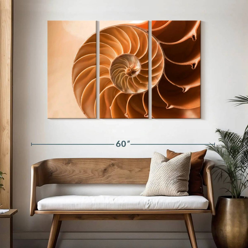 Coque Aletra Nautilus à l'intérieur, H 32 po x l 50 po