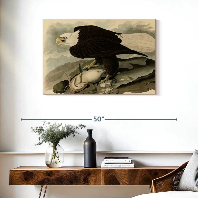 Brampt Whiteheaded Eagle, 24" H x 36" W