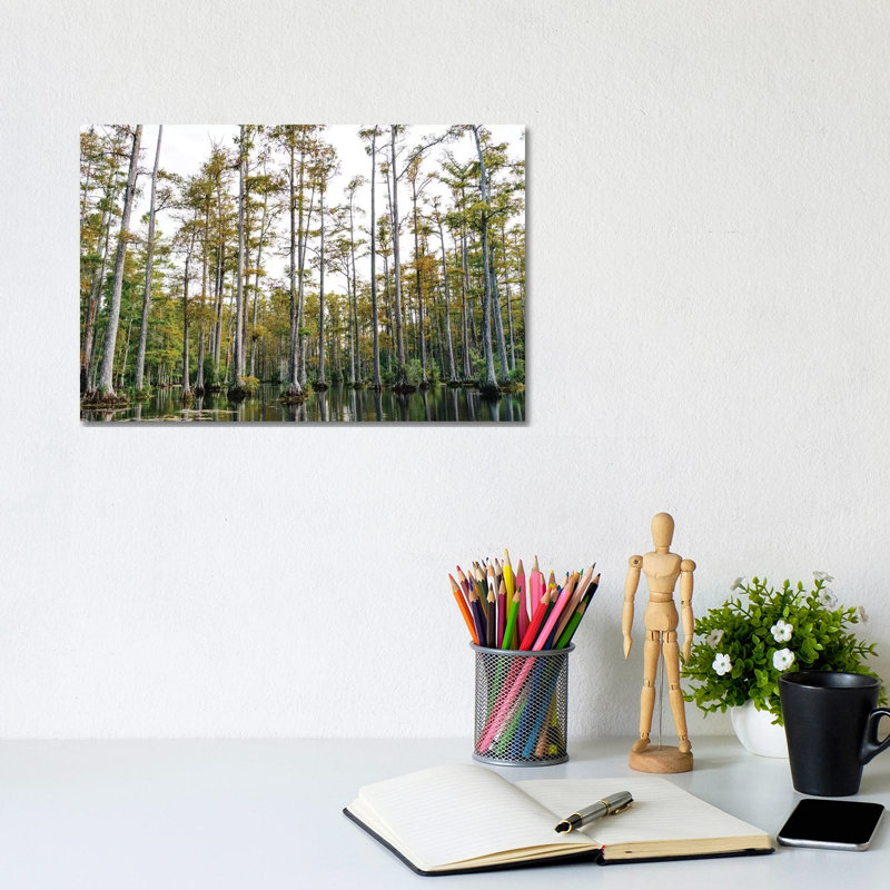 Charleston Cypress Gardens LII par Bethany Young - reproduction de photo sur toile tendue, H 8 po x l 12 po x P 0,75 po