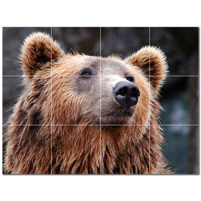 Murale en céramique satinée Bear Photo 4,25 po x 4,25 po