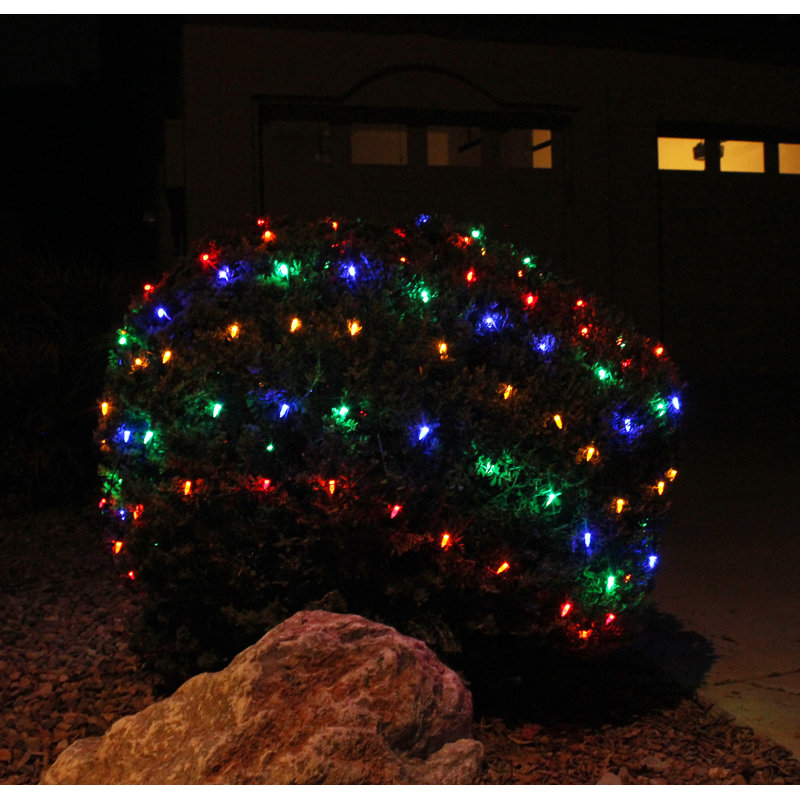 Net Lights
