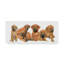 Adelphi «Rhodesian Ridgeback Puppies», reproduction de peinture à l'huile sur toile tendue-26109021