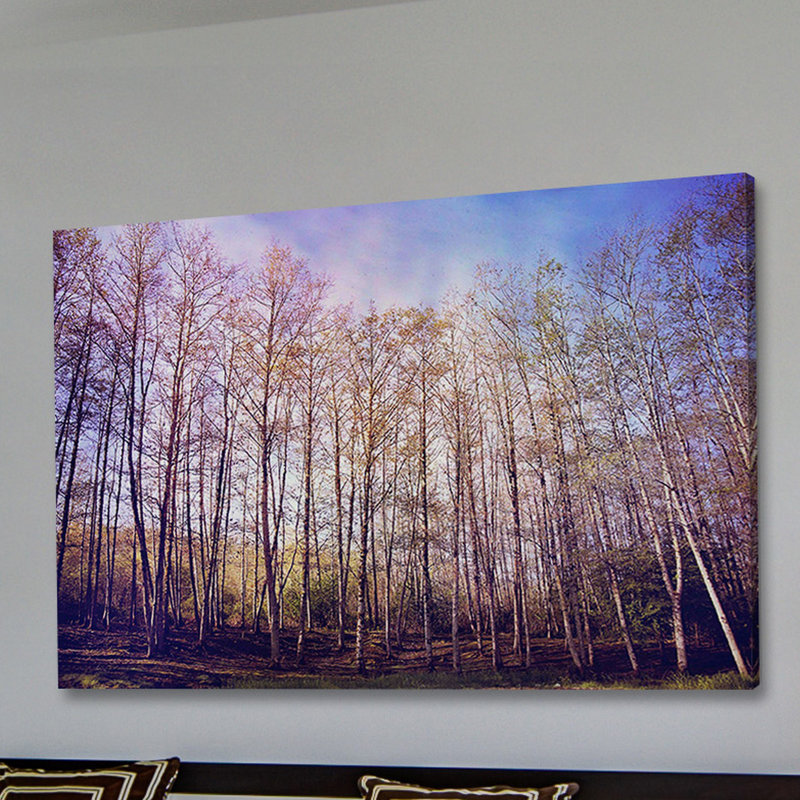 « forest of trees », reproduction d’art sur toile, H 12 po x l 18 po, Toile tendue