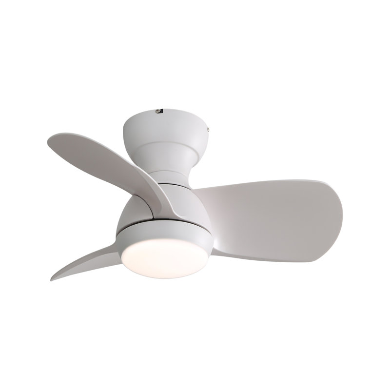 23 Inch Mini LED Ceiling Fan with 3 ABS Blades, Remote Control, DC Motor, Timer, White, White
