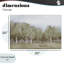 «Autumn Greens Tranquil Trees», conception par Michael Marcon-219261577