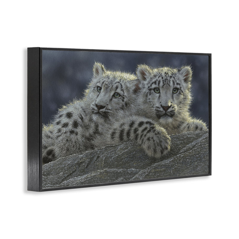 Snow Leopard Cuddle Framed Giclee, design by Collin Bogle, 12" H x 18" W, Midnight Black Framed Giclee
