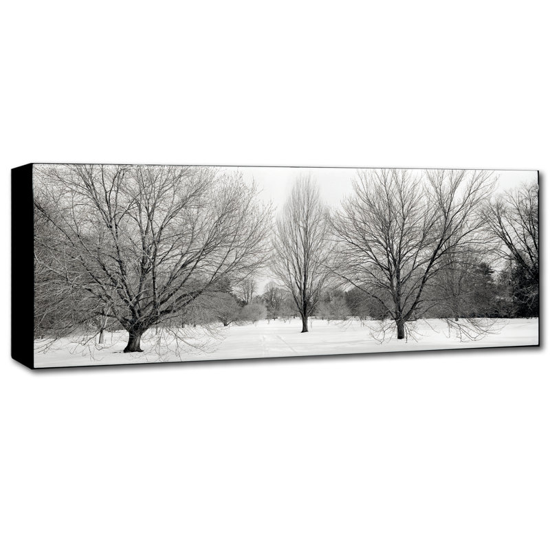 «Winter Garden I» par Alan Blaustein - reproduction de photo sur toile, H 16 po x l 47 po x P 2 po