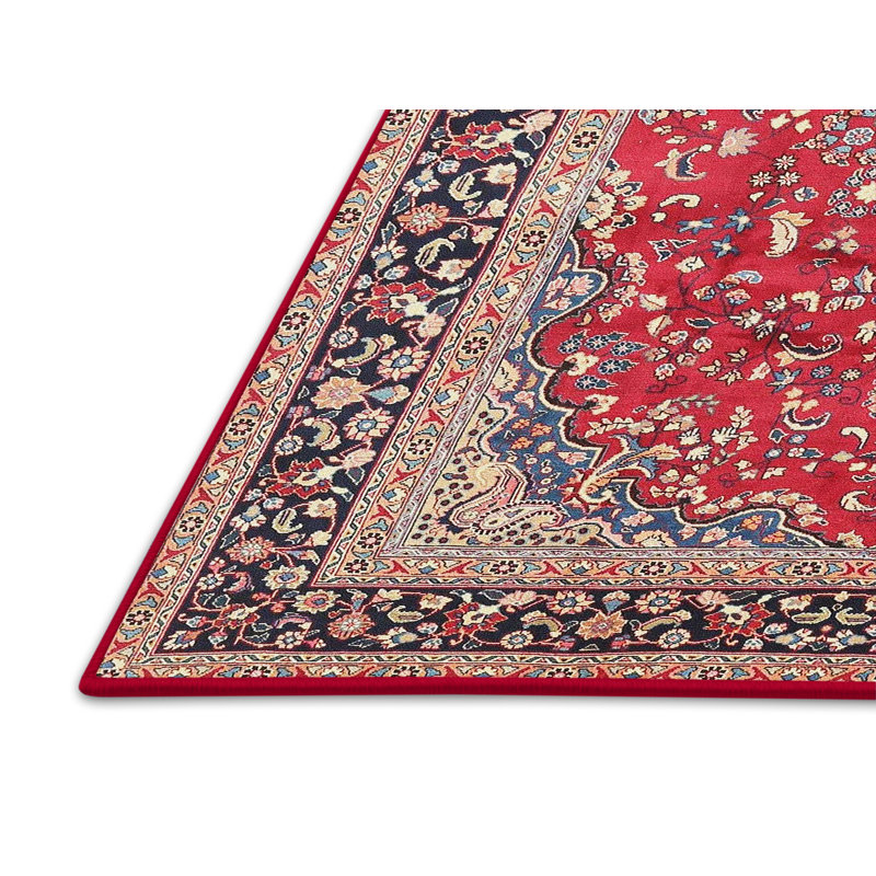 Oriental Indoor Rug, Rectangle 6' x 9'