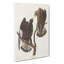 Rough-Legged Falcons by John Audubon - Wrapped Canvas Painting-55323268