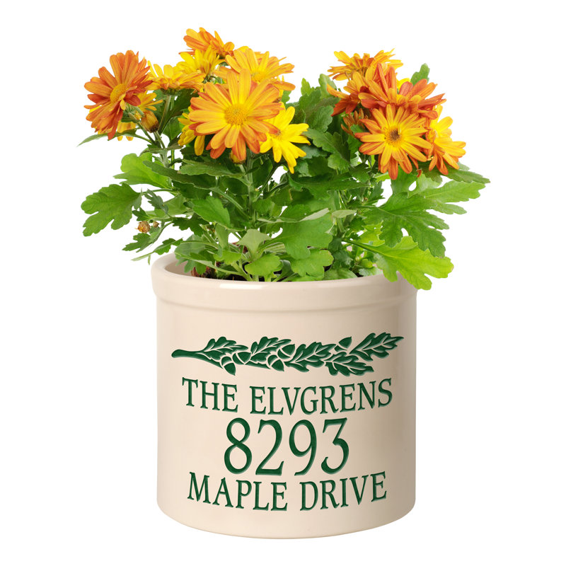 Woodson 1-Piece Ceramic Pot Planter, Yes, Green