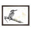 Kingfisher Bird on a Branch - Picture Frame Painting Print-56704940-56704939