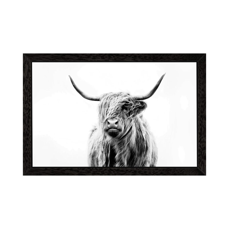 Bairdstown Portrait Of A Highland Cow by Dorit Fuhg - Print on Canvas, 101.6 cm H x 66.04 cm W, Black Framed Canvas