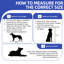 Table d'appoint pour chien avec pieds réglables-445540261-445540258