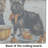 Cairn Terrier Fall Kitchen Pumpkins Glass Cutting Board Large