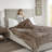Heated Plush Mink Ultra-Soft Machine Washable Auto Shut-Off Queen Blanket with 20 Heat Settings-18681761-18694993