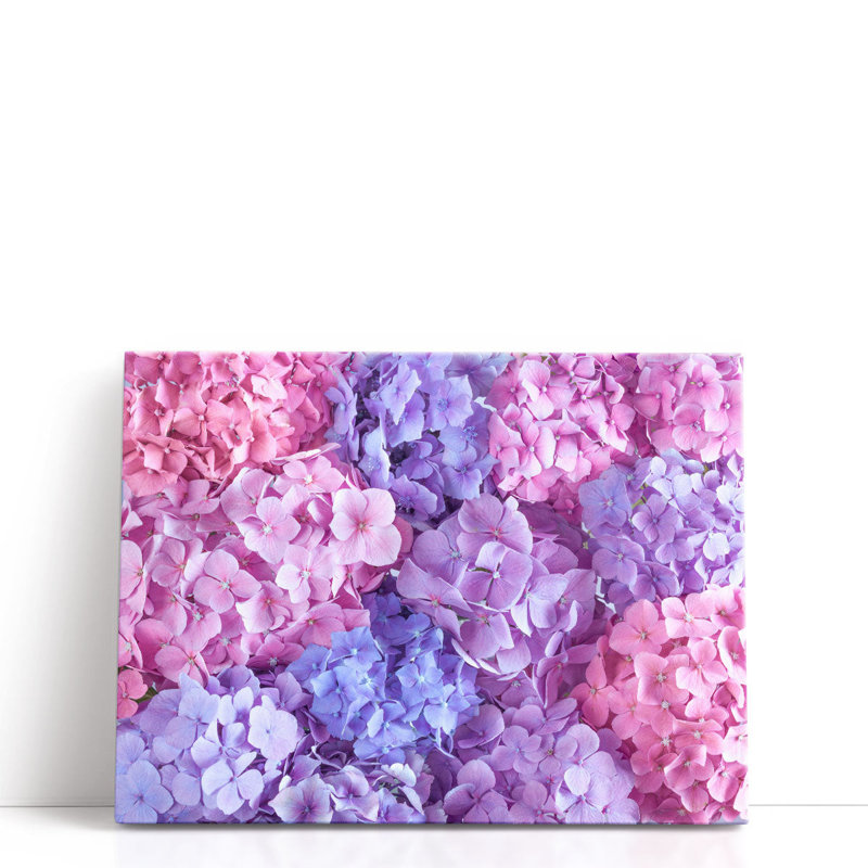 Hydrangeas Pink - Canvas Print Wall Art, 18" H x 24" W