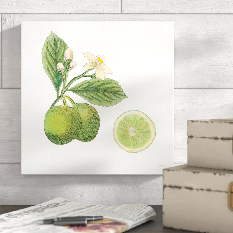 Classic Citrus III by Sue Schlabach - Wrapped Canvas Print, 30cm H x 30cm W