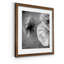 Renoncule foncé II - cadre photo-56949604-56949611-56897106