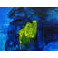 Untitled 57 Print by Adrian Negenborn-1797856314