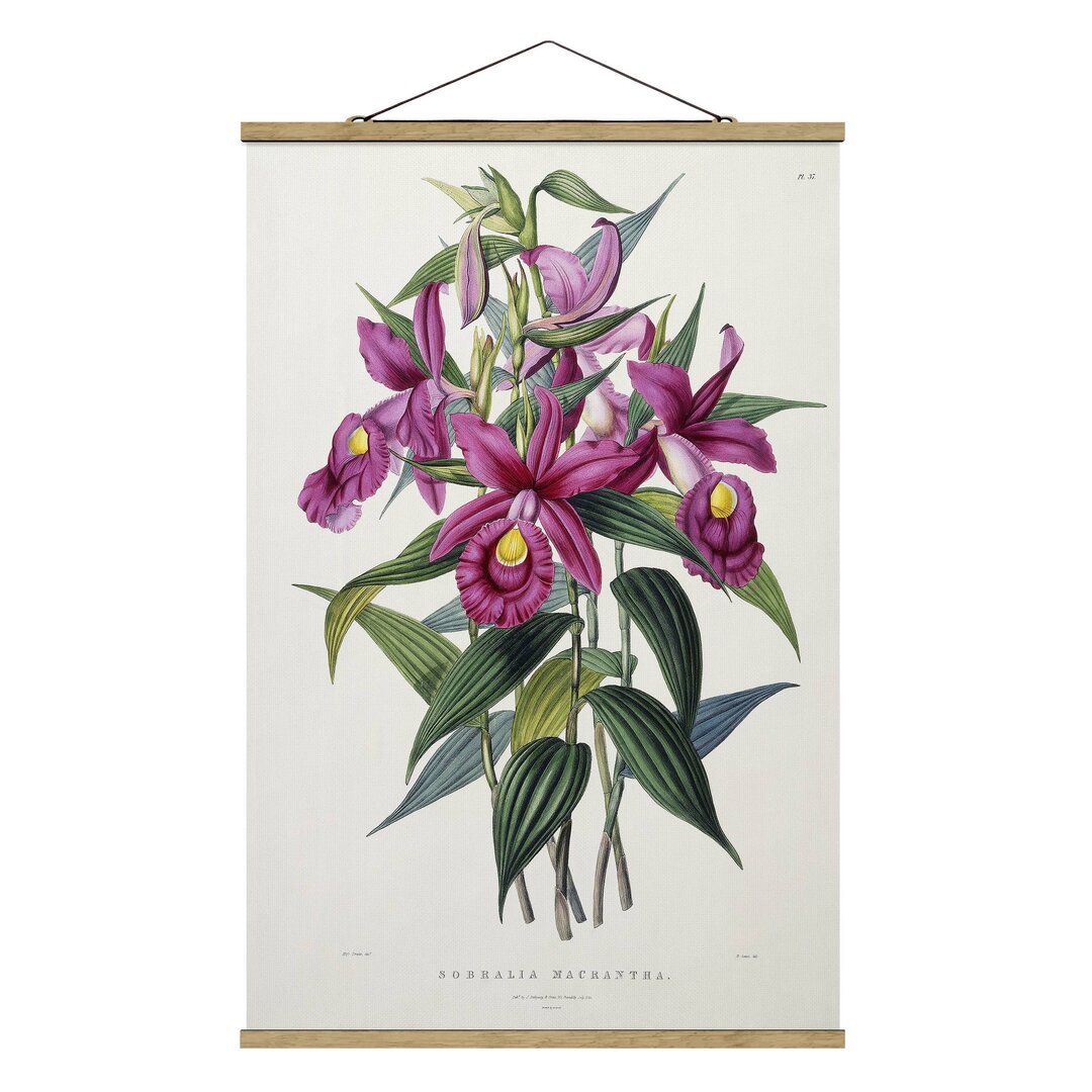 Stoffbild Orchid I von Maxim Gauci