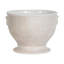 Blenheim Oak 9" Cachepot - Whitewash