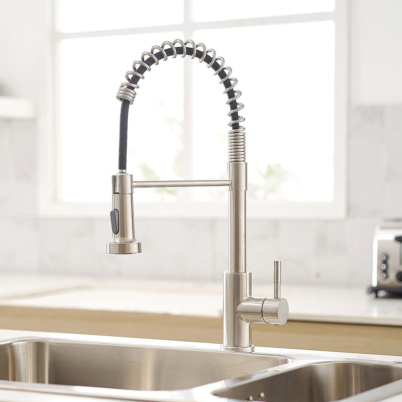 Robinet de cuisine commercial avec douchette extractible, robinet d'évier de cuisine à poignée simple, Nickel brossé