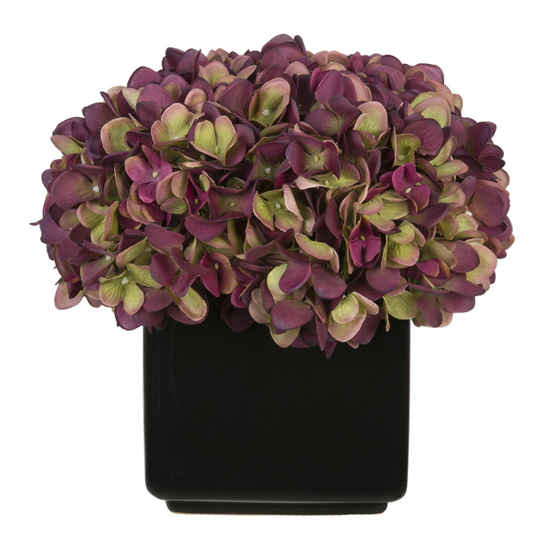 Arrangement réel d'hortensias prune dans un vase, Prune / sauge