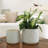 Elayna Ceramic Pot Planter-228007297