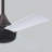 Donaire 52'' Ceiling Fan with LED Lights-297934727-315694813