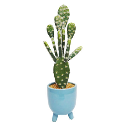 Plante de 18,5 po