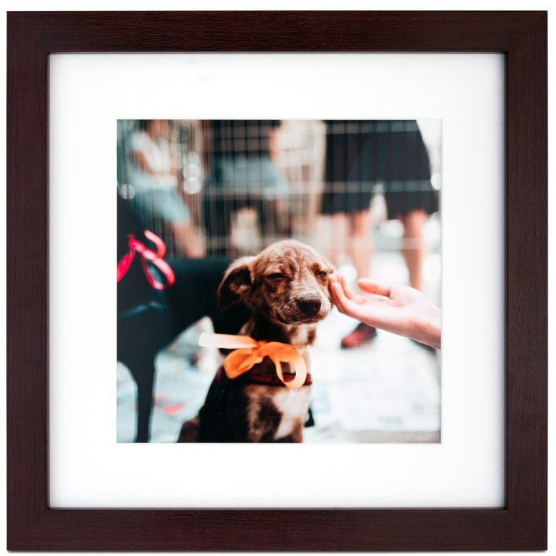 Digby Brown Matte Picture Frame, 24" x 36"