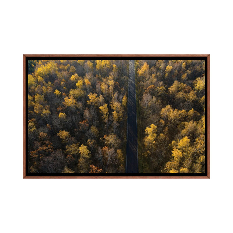 Road by Dmitry Doronin - Floater Frame Print on Canvas, 66.04 cm H x 45.72 cm W, Brown