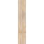 Legacy Craftsman Perspectives-109289949-112677210