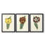 Antique Tulip II - impression encadrée sur mesure de qualité supérieure mate - 3 pièces-1573223395-1573223396