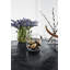 Glass Jar-741462312