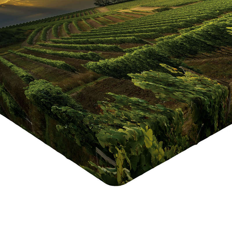 Drap-housse pour le vin, Drap-housse de taille simple