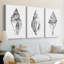 Quiet Conch I  -Custom Wrapped Gallery Canvas - 3 Pieces-778061441-778061442