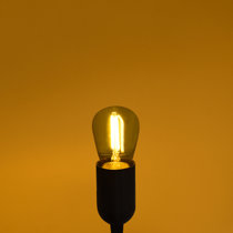 0.5 Watt S14 LED Colored String Light Bulb, Purple and Orange, E26/Medium  (Standard) Base