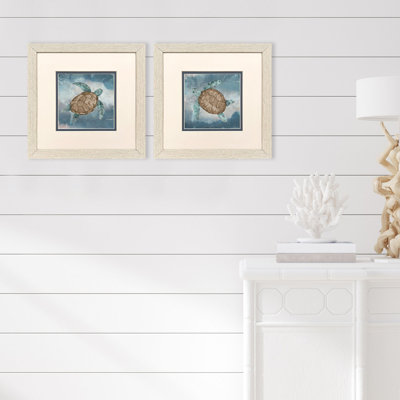 Tortue itinérante, art encadré