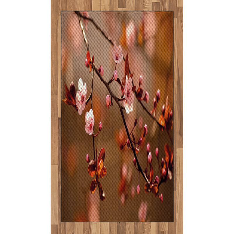 Nature High Density Long Fiber Poly Threads Decorative Area Rug Carpet, Rectangle 2'7" x 5'