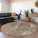 Premium Machine Washable Prisco Chocolate Rug