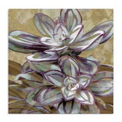 «Rustic Desert Succulents», art mural sur toile par Lindsay Benson