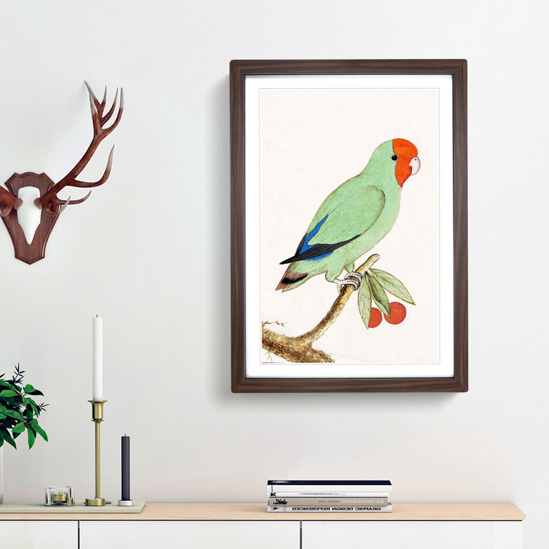 Lovebird by A.B. de Boodt - Framed Print