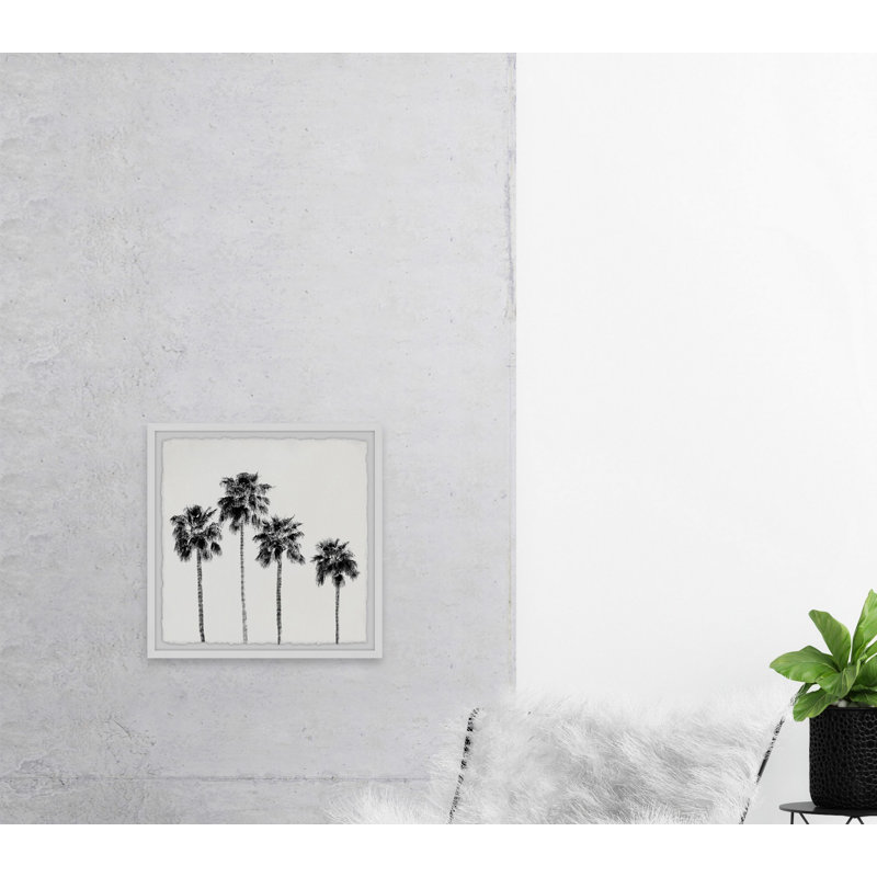 Four Palm Trees - Single Picture Frame Print, 61cm H x 61cm W x 3.81cm D