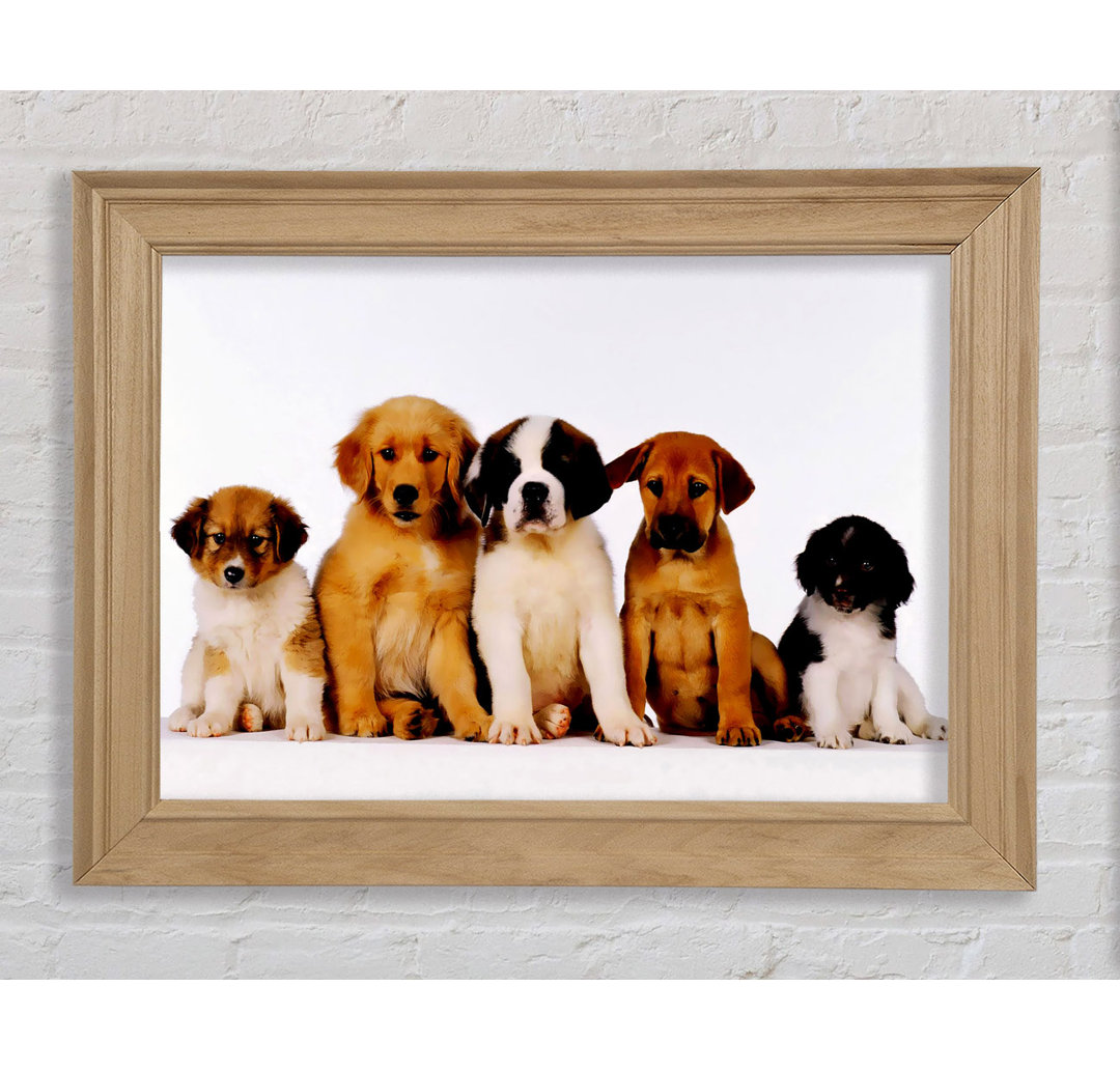 Hundefamilie - Bilderrahmen Kunstdrucke