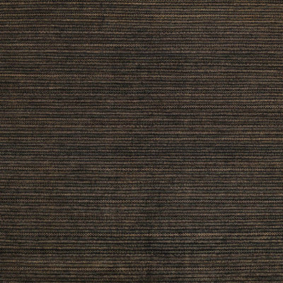 Indoor Rug
